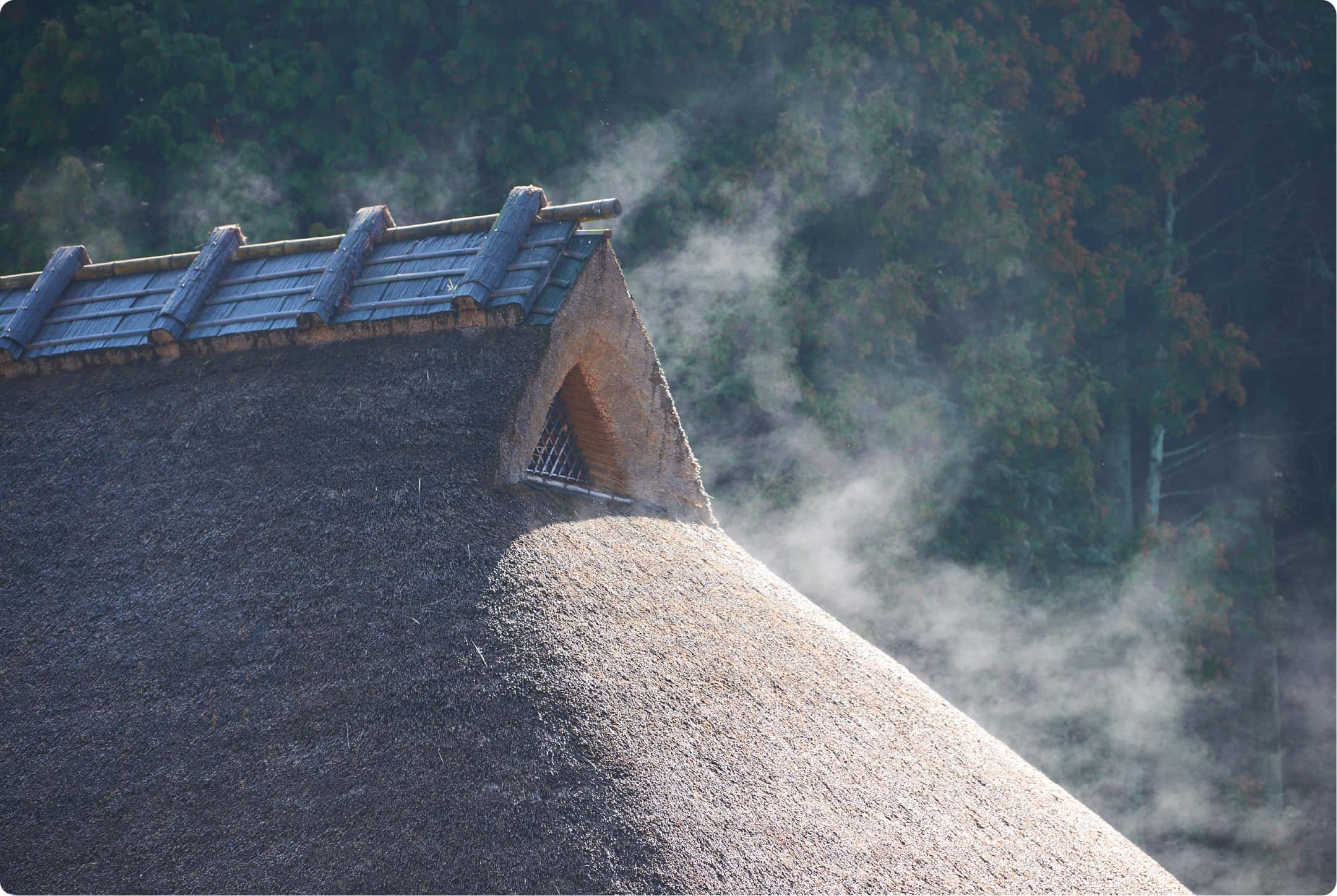 呼吸する茅葺屋根